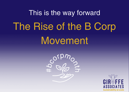 The Rise of the B Corp Movement and How (and Why) To Join It